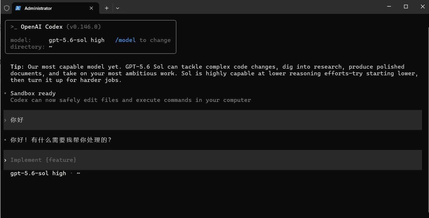 Codex 对话验证