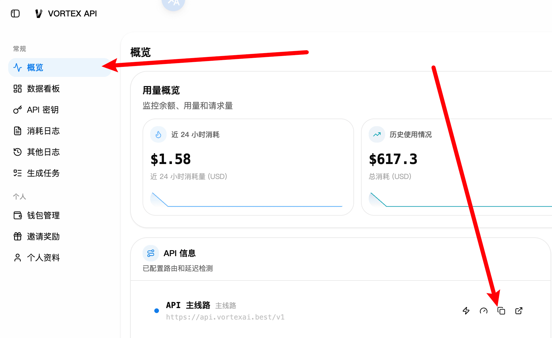 在 VORTEX API 控制台概览复制 API 主线路